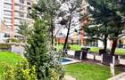 Apartament cu 3 camere decomandat, mobilat în Dristor - 24