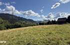 Teren intravilan 5620mp, acces public, panorama - 6