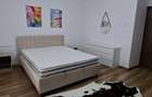 Apartament cu o camera, renovat, Podu Ros - 11