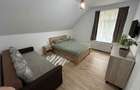 Inchiriez cabana in Dealu Negru, judetul Cluj - 8