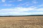 Teren de 2500 mp, în Brănești - 4