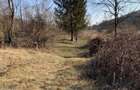 Vand teren retras, deosebit - 4