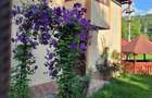 Casa de vanzare in Campeni - 4