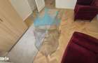 Apartament 2 Camere Floreasca Bucuresti - 12