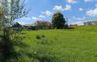 3900 mp teren intravilan in Poiana Stampei - 5