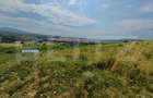 Teren extravilan, de vanzare, 6500 mp, zona Crasnei - 5