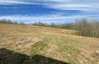 Pasune cu padure 5.5 ha sat Dumbravita Com Barzava - 4