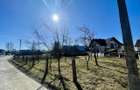 CASA RENOVATA + TEREN 3100 MP | CURTE SI GRADINA | FRATAUTII NOI - 1