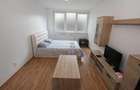 Apartament cu o camera de inchiriat in zona Complex Studentesc - 1