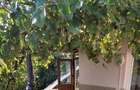 Apartament cu 2 camere decomandat în Domenii - 2