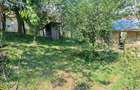 Casă cu 3 camere cu Teren 899 Mp în Ilidia - 14