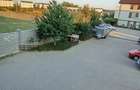 Apartament cu 3 camere decomandat în Braytim - 5