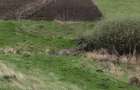 vand urgent 900 mp  teren intravilan 0758283588 - 1