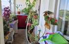 Apartament cu 2 camere decomandat în Dristor - 4