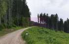 Teren de vanzare in Predeal - 3