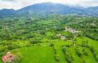 Teren agricol de 11000 mp, în Bran - 7