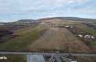 Teren 19.375 mp Dambu Rotund. Potential rezidential. Extravilan - 9