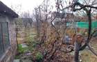 Casă cu 7 camere cu Teren 500 Mp în Central - 6