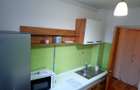 2 camere Craiovei , mobilat / utilat , Amplasament DEOSEBIT! - 5