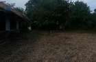 Teren intravilan Santu Floresti comuna Gruiu (Snagov) - 2