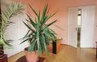 Spatiu ultracentral de birouri Str. Jean Calvin - 5