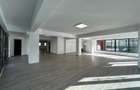 Spatiu Comercial Complet Renovat Elena Doamna - 7
