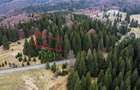 Teren intravilan de 1000 mp, în Poiana Brașov - 1