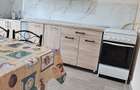 Apartament cu 2 camere decomandat în Nicolina - 8