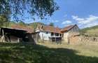 Casa de vanzare+terenuri - 4
