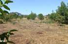 Teren intravilan Buftea - Crevedia - Manastirea, 582mp, 0%comision - 10