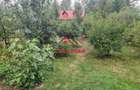 Casa in Provita--95.000e - 8