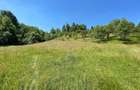 Vand teren intravilan in Ilva Mare 52 ari - 1