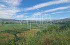Teren Construcții intravilan de 11000 mp, în Borhanci - 2