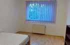 Apartament cu 4 camere decomandat în Herăstrău - 8
