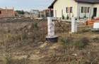 Teren agricol extravilan de 10000 mp, în Moșnița Nouă - 6