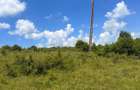 Teren extravilan 54.500 mp, langa padure, intre Lovnic Valeni - 8