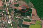Teren Construcții intravilan de 8100 mp, în Ciolpani - 1
