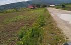 Vand sau Schimb 10.000mp pamant Hemeiusi - 3