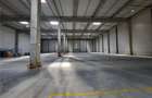 Spațiu industrial, de 3,000 mp, în Periferie - 1