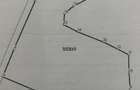 Teren intravilan de 2951 mp, în Sohodol - 7