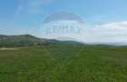 Teren Construcții de 3000 mp, în Sălicea - 5