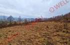 Teren agricol de 23535 mp, în Vama Buzăului - 3