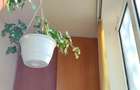 Apartament 2 camere confort 1, oras Giurgiu, bulevardul Bucuresti, zona linistita (spate Patibar) - 3