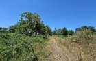 Teren intravilan de 8227 mp, în Băneasa - 7