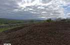 Teren intravilan Comarna, ID: R3075287 - 9
