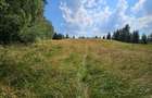 Teren Dealu Negru de vanzare, la 3 km de Belis - 6