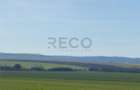 RECO Teren pentru investitie 4ha Tauteu-Zona Autostrazii Transilvani - 3