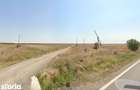 EXCLUSIVITATE: 20.000 mp teren impadurit langa Vi?ina, Dambovi?a - 2