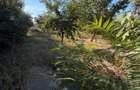 Casa de vanzare, 160 mp, zona Bariera Valcii