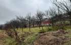 Casă cu 4 camere în Zoreni - 10